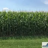 Keller's Farmstand photo