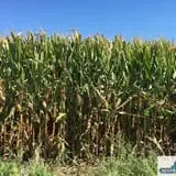 Keller's Farmstand photo