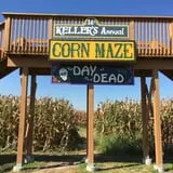 Keller's Farmstand photo