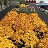 Keller's Farmstand photo