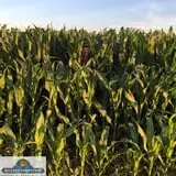 Keller's Farmstand photo