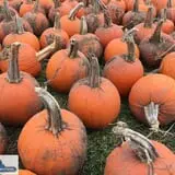 Keller's Farmstand photo