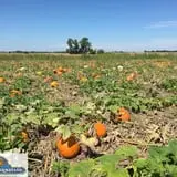Keller's Farmstand photo