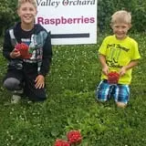 Valley Orchard photo