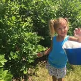 Valley Orchard photo