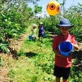 Valley Orchard photo