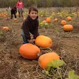 Ort Farms photo