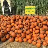 Ort Farms photo