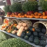 Ort Farms photo