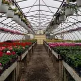 Ort Farms photo