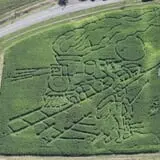 Ort Farms photo