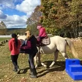 Ort Farms photo