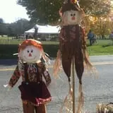 Ort Farms photo