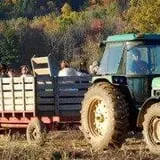 Ort Farms photo