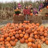 Ort Farms photo