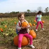 Ort Farms photo