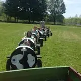 Ort Farms photo