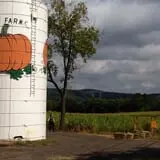 Ort Farms photo