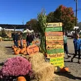 Ort Farms photo