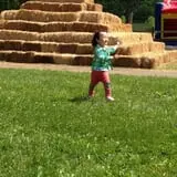 Ort Farms photo