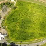 Ort Farms photo