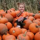Ort Farms photo