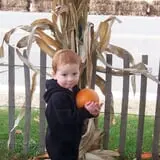Ort Farms photo