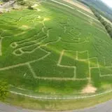 Ort Farms photo