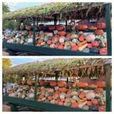 Ort Farms photo