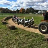 Ort Farms photo