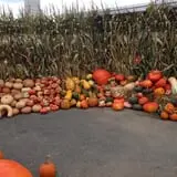 Ort Farms photo