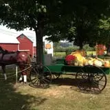 Ort Farms photo