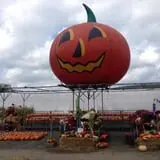 Ort Farms photo