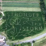 Ort Farms photo