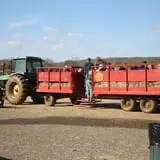 Ort Farms photo