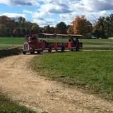 Ort Farms photo