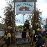 Ort Farms photo
