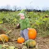Ort Farms photo