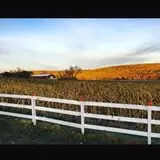 Ort Farms photo