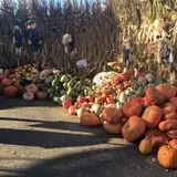 Ort Farms photo