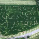 Ort Farms photo