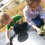 Ort Farms photo