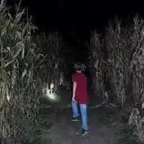 Ort Farms photo