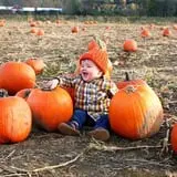 Ort Farms photo