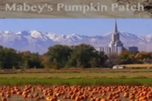 Mabey Farms Pumpkin Patch Logo