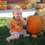 Mabey Farms Pumpkin Patch photo