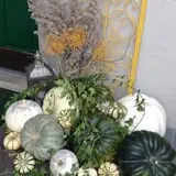 Mabey Farms Pumpkin Patch photo