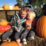 Mabey Farms Pumpkin Patch photo