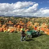 Mabey Farms Pumpkin Patch photo