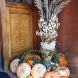 Mabey Farms Pumpkin Patch photo